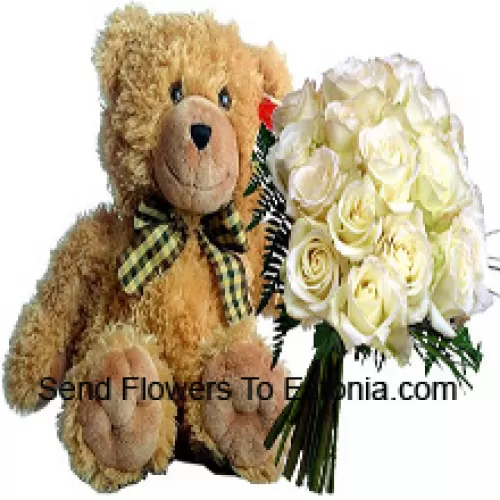 Bündel von 19 weißen Rosen mit saisonalen Füllstoffen zusammen mit einem niedlichen 14 Zoll großen braunen Teddybären