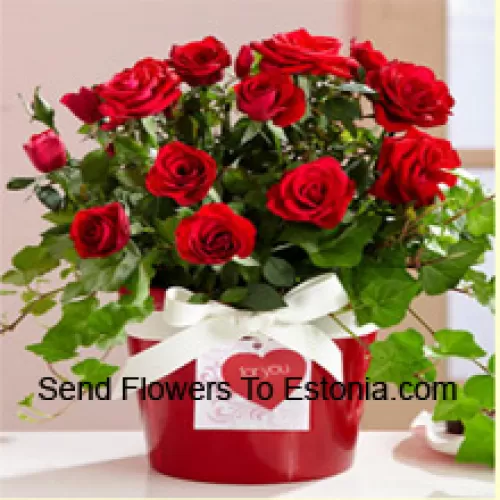 Eine wunderschöne Anordnung von 19 roten Rosen mit saisonalen Füllern