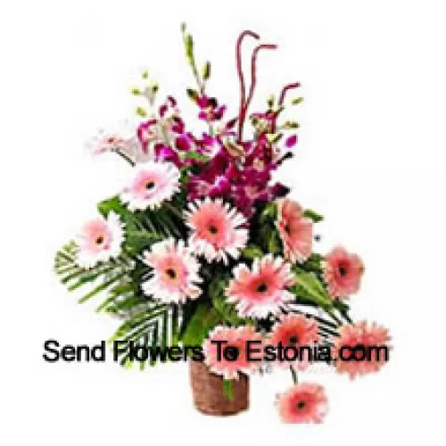 Basket Of Orchids And Gerberas