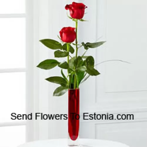 Dos rosas rojas en un jarrón de tubo de ensayo rojo (Nos reservamos el derecho de sustituir el jarrón en caso de falta de disponibilidad. Stock limitado)